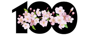 Disfida podistica di primavera (2021)